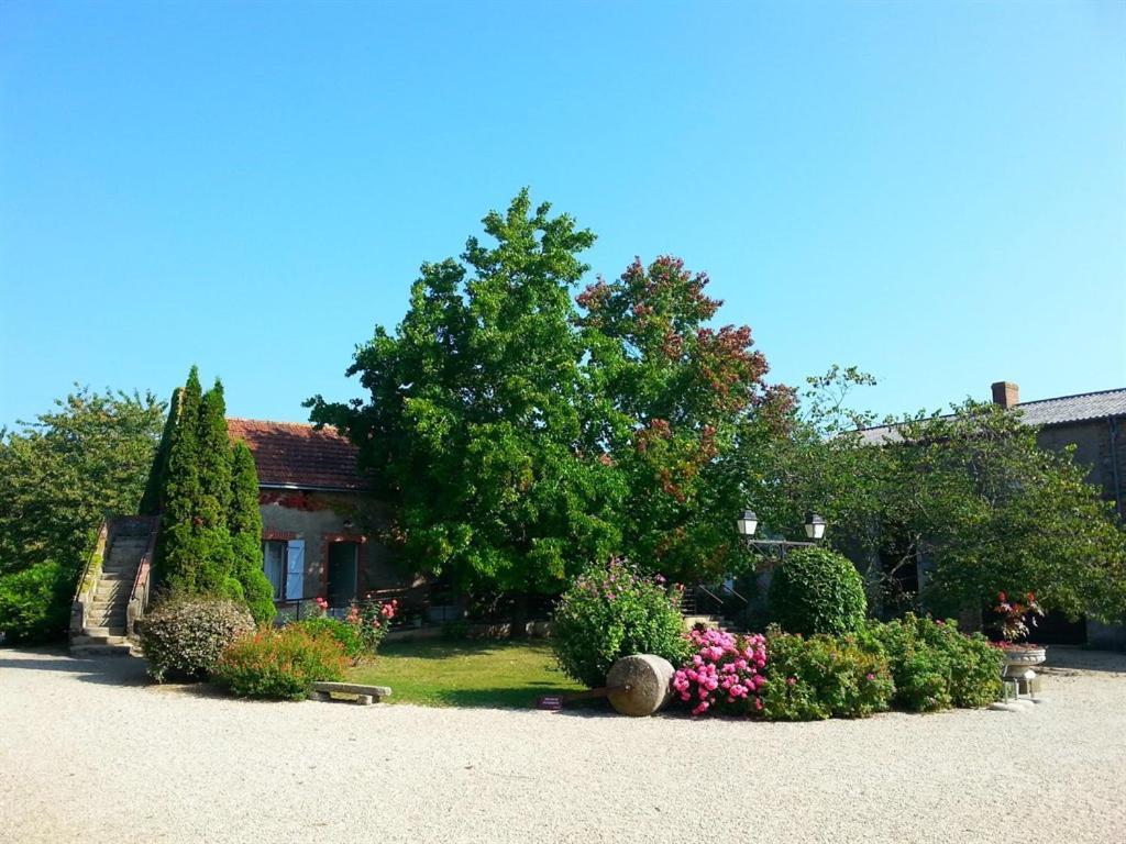 Chateau De La Galissonniere Bed and Breakfast Le Pallet Exterior foto